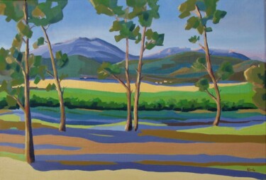 Le Pic Saint-Loup vu du Réganel .